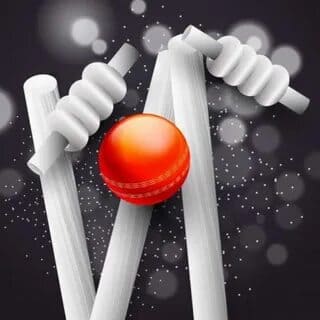 Cricket ball hitting stumps